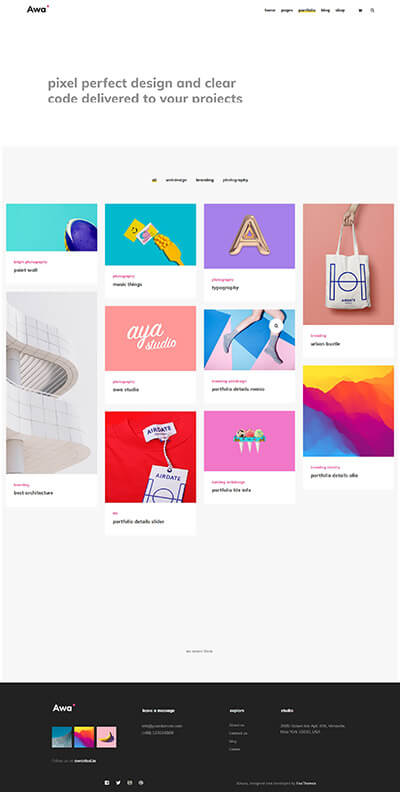 Portfolio Info With Filters