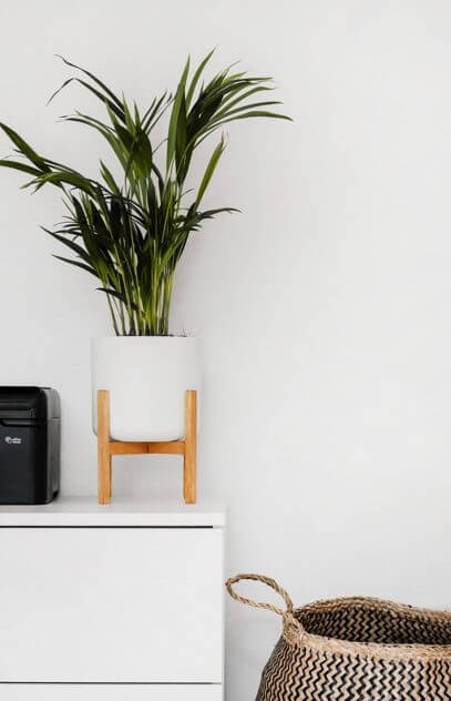 Flower E1519398182618