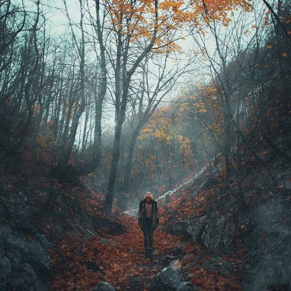 Stock Photo 87036601 570X570