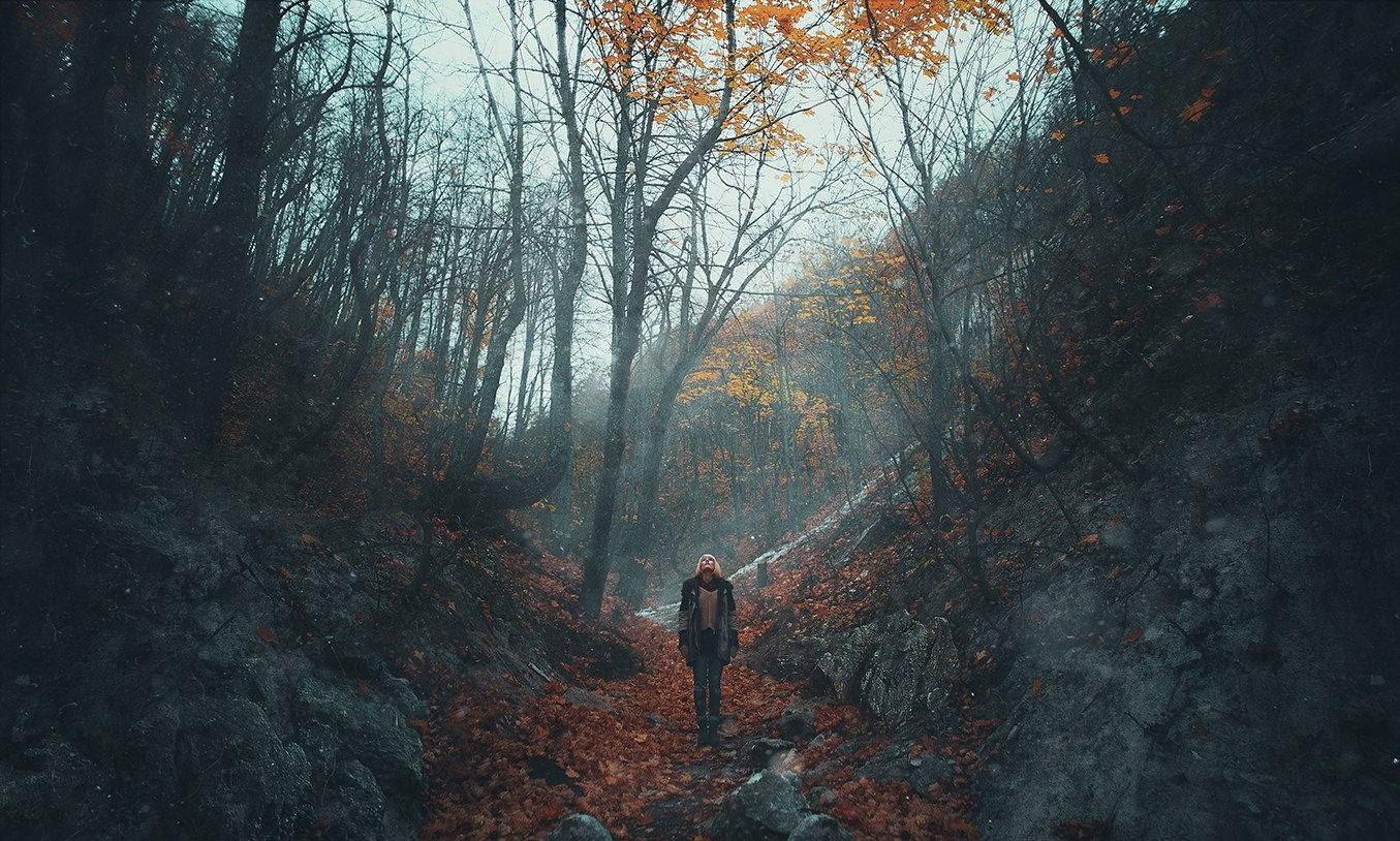 Stock Photo 87036601