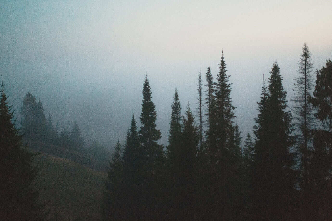 Stock Photo 84575289