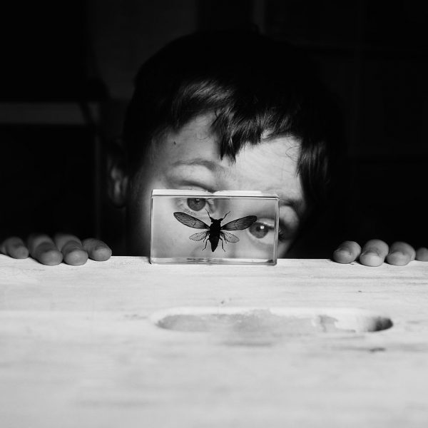 product-18 product-18