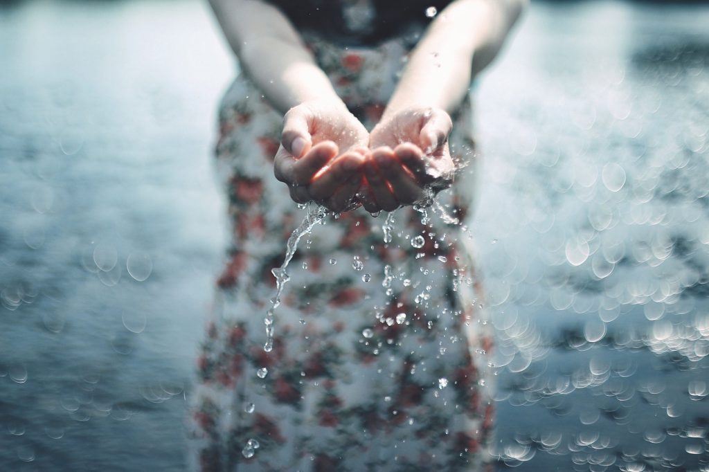 Stock Photo 156362121 1024X682