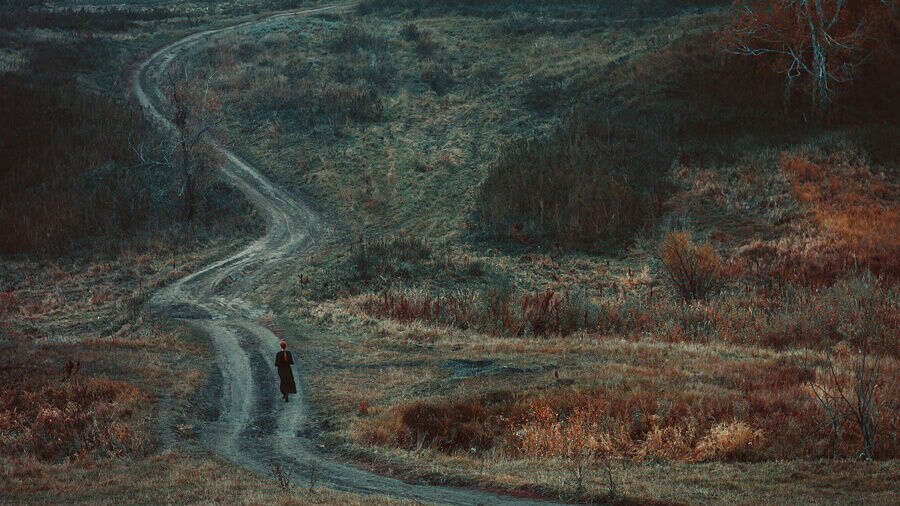 Stock Photo 115308179