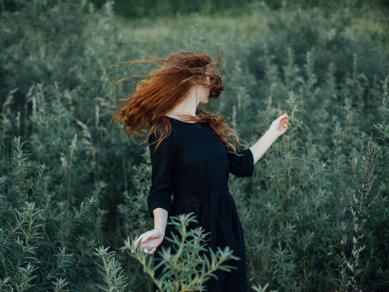 Stock Photo 172045601