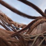 10 Protected 150X150