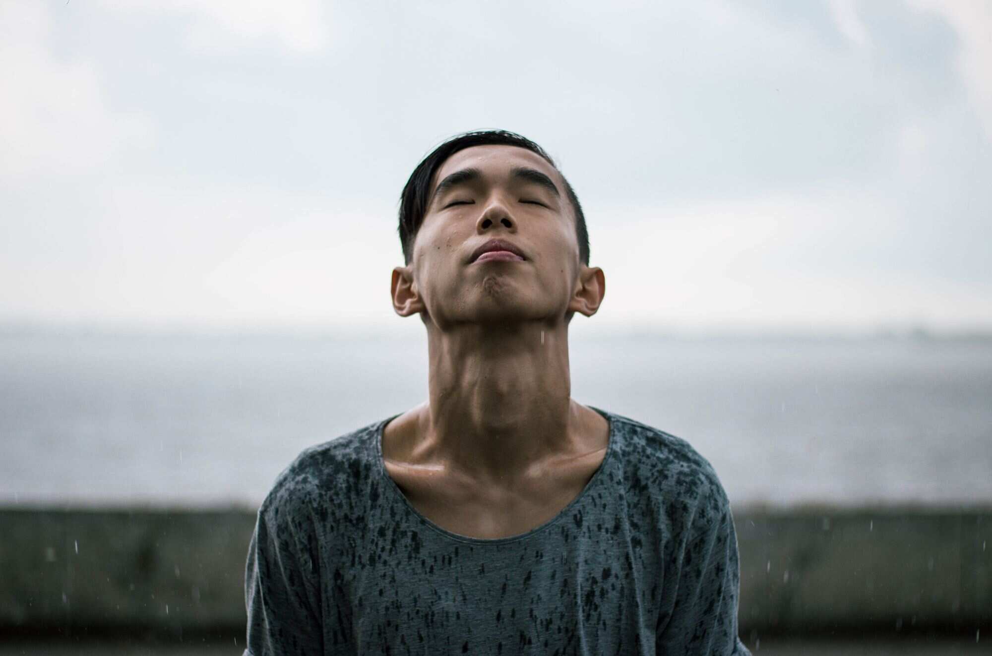 Stock Photo 116041537