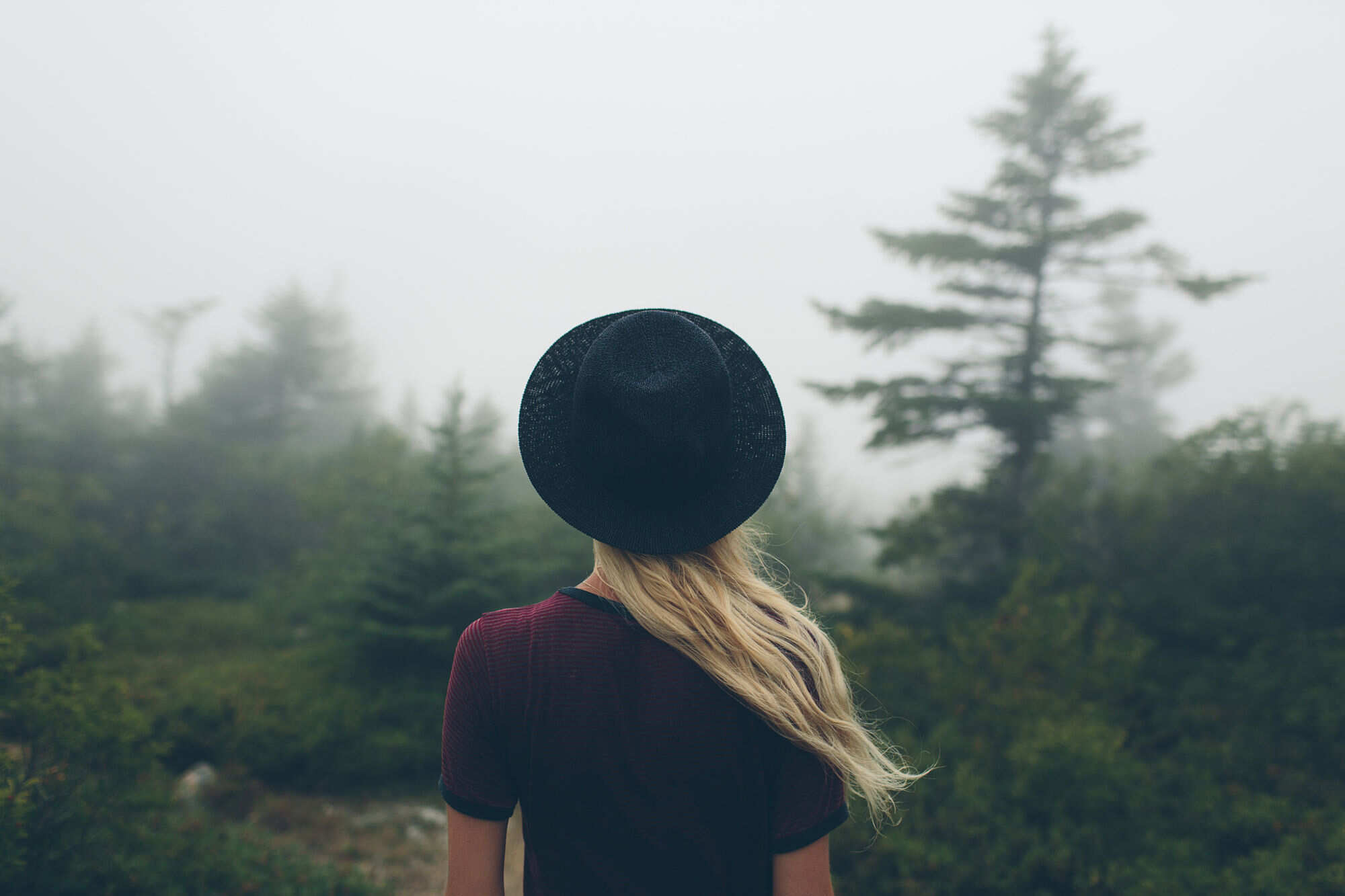 Stock Photo 150237317