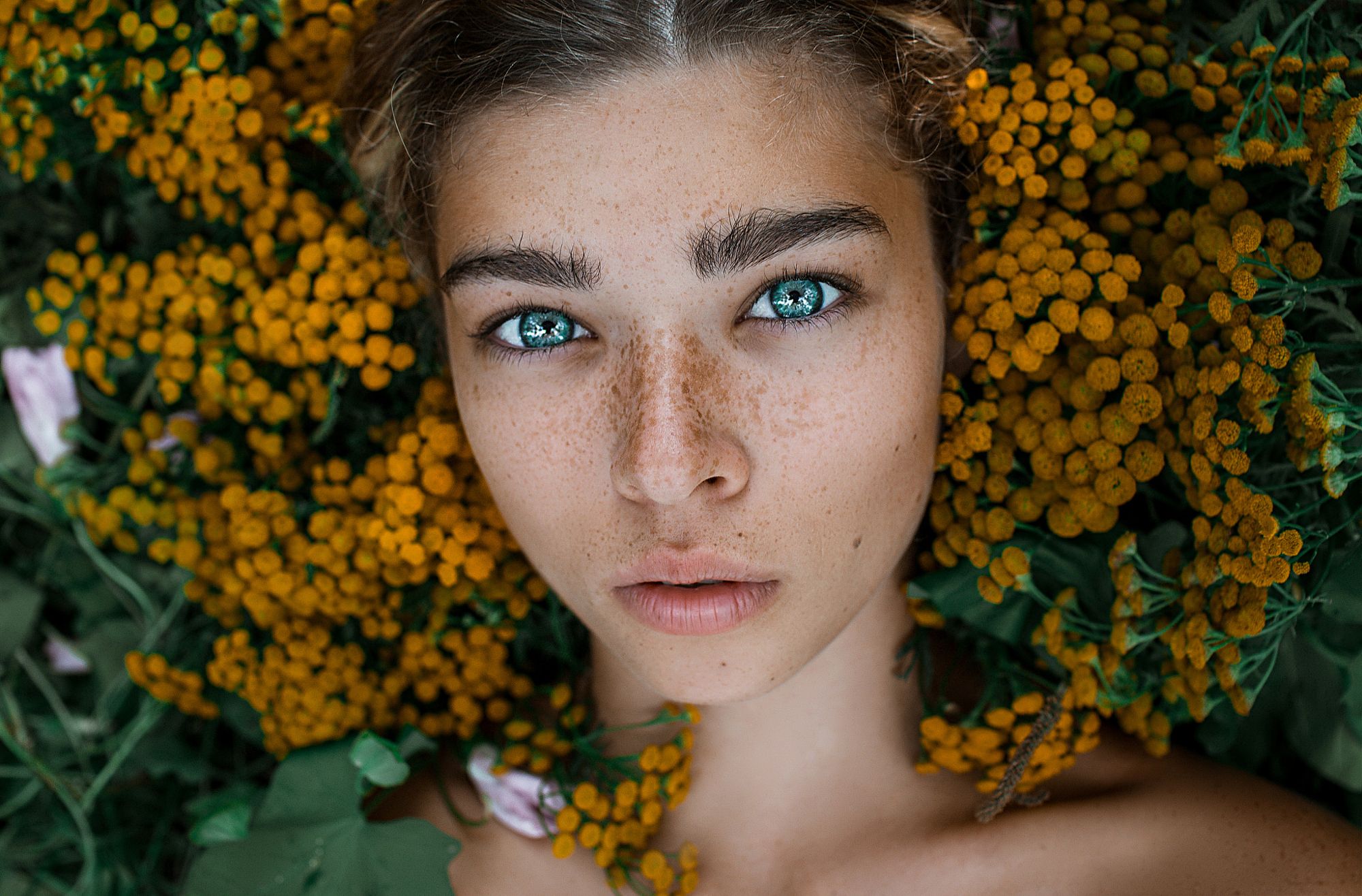 Stock Photo 166310415