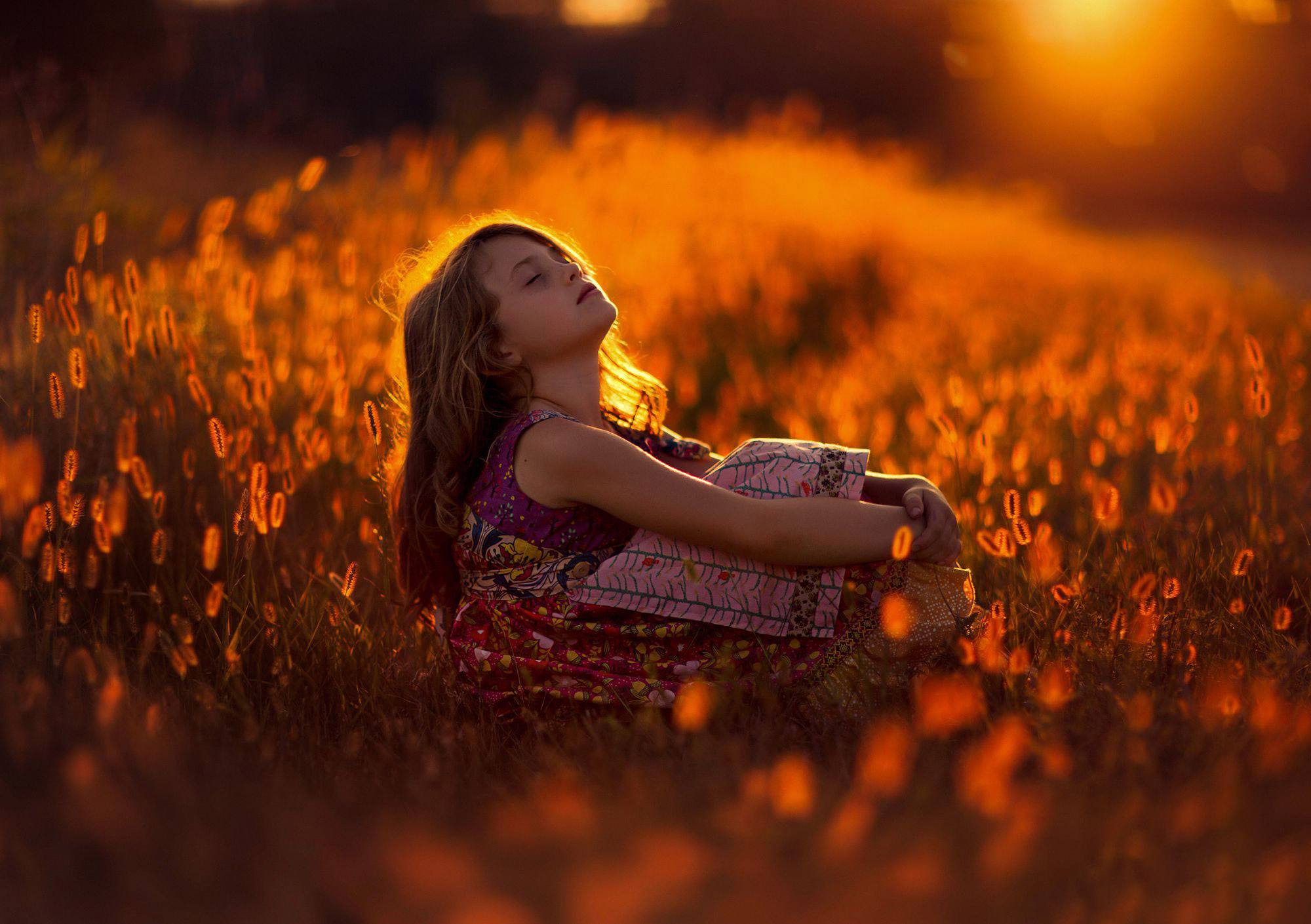 Stock Photo 170722985