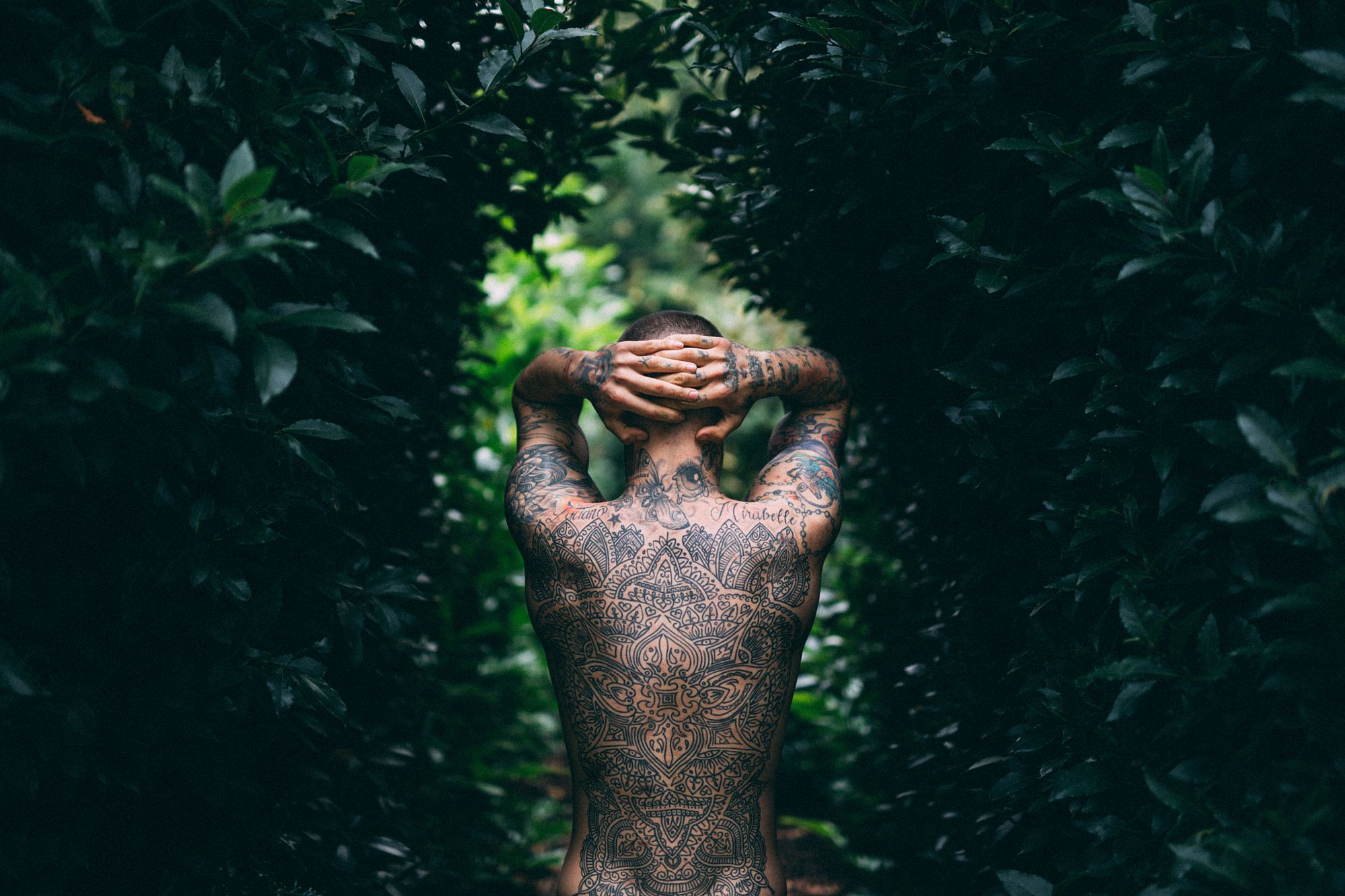 Stock Photo 174095779