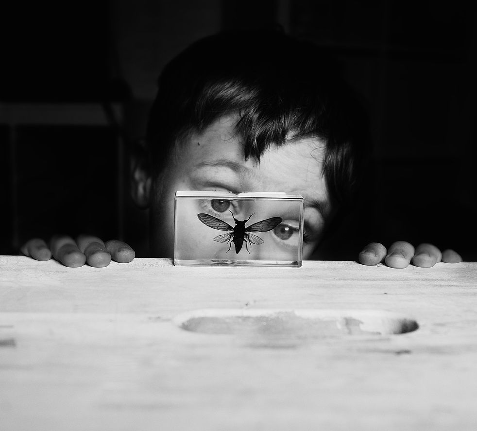 Stock Photo 75796579