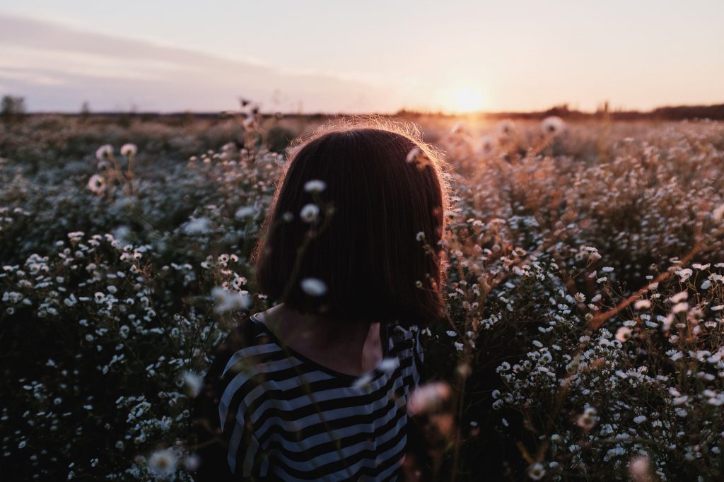 Stock Photo 164804713 1024X682