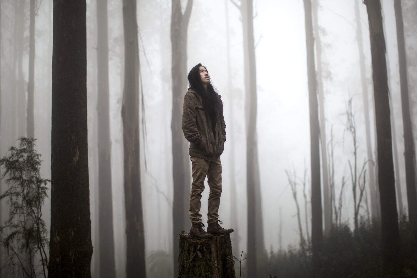 Stock Photo 104517431