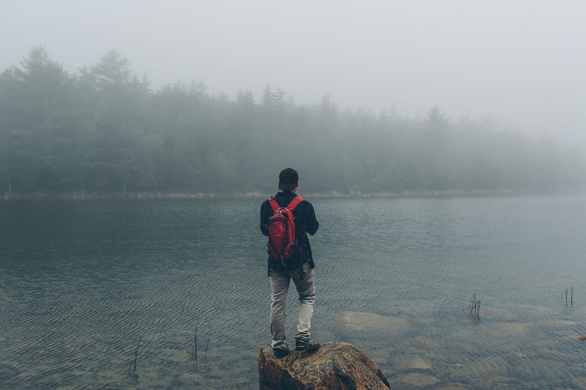 Stock Photo 148537537