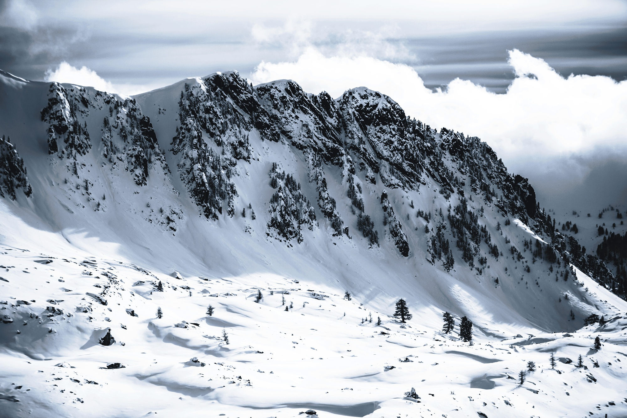 Stock Photo 91567311