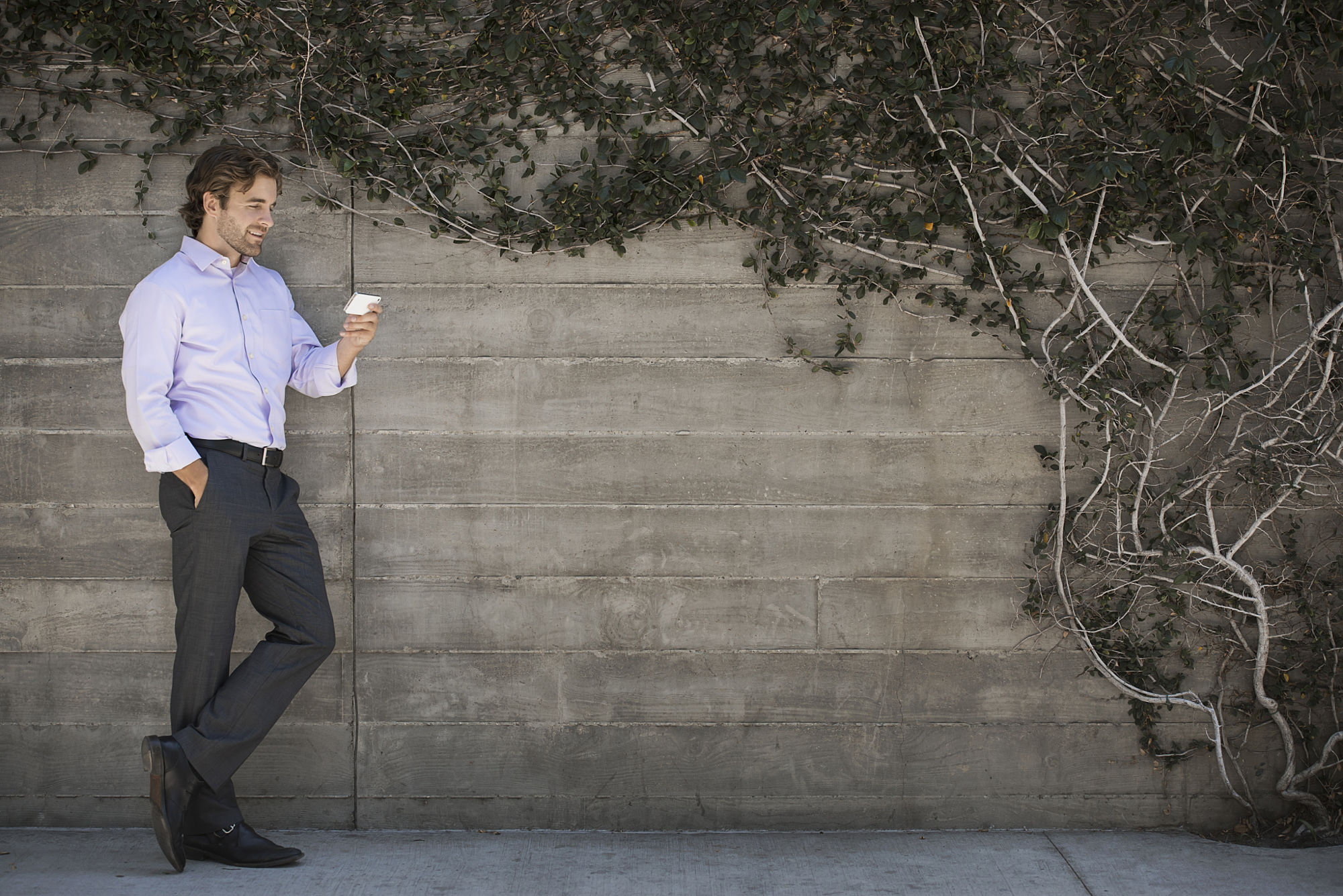 Stock Photo 155661965