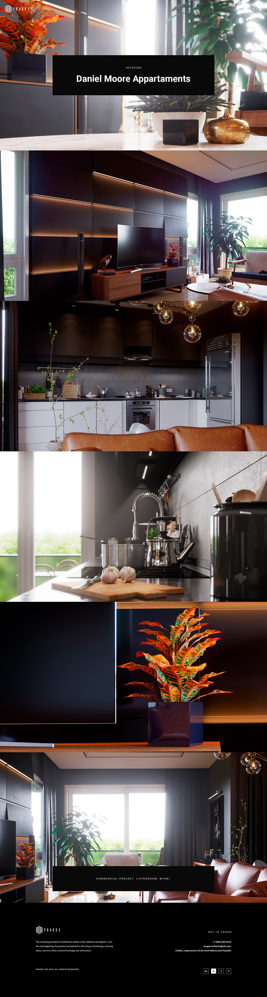 13 Project Detail Parallax